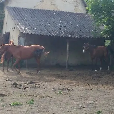 Guest house Likaskalacs
