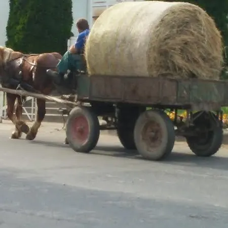 Pensionat Likaskalacs Regoly