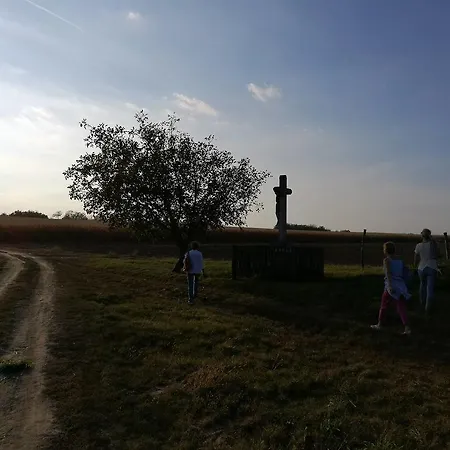 Pensionat Likaskalacs Regoly