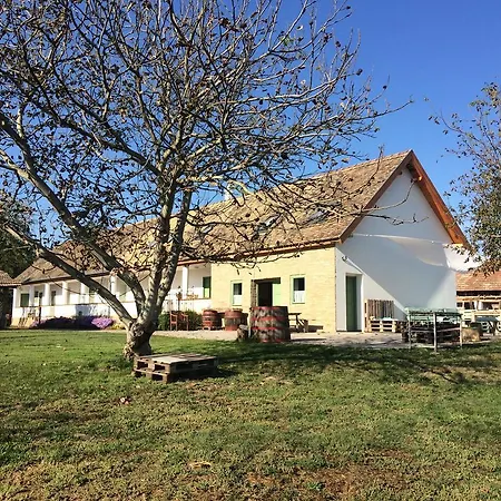 Likaskalacs 3* Regoly